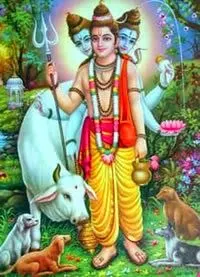 Dattatreya Swamy Photos Download Dattatreya Swamy Photos Download