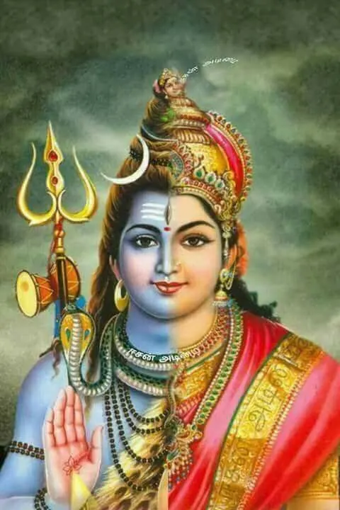 Beautiful Ardhnarishwar Shiva Shakti Photo Beautiful Ardhnarishwar Shiva Shakti Photo